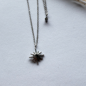 Collar con dije estrella y circón | Plateado