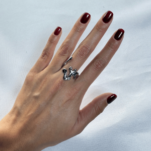 Anillo N0000362 | Plateado